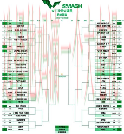 V体育综合版全方位赛事解析 V体育综合版全方位赛事解析